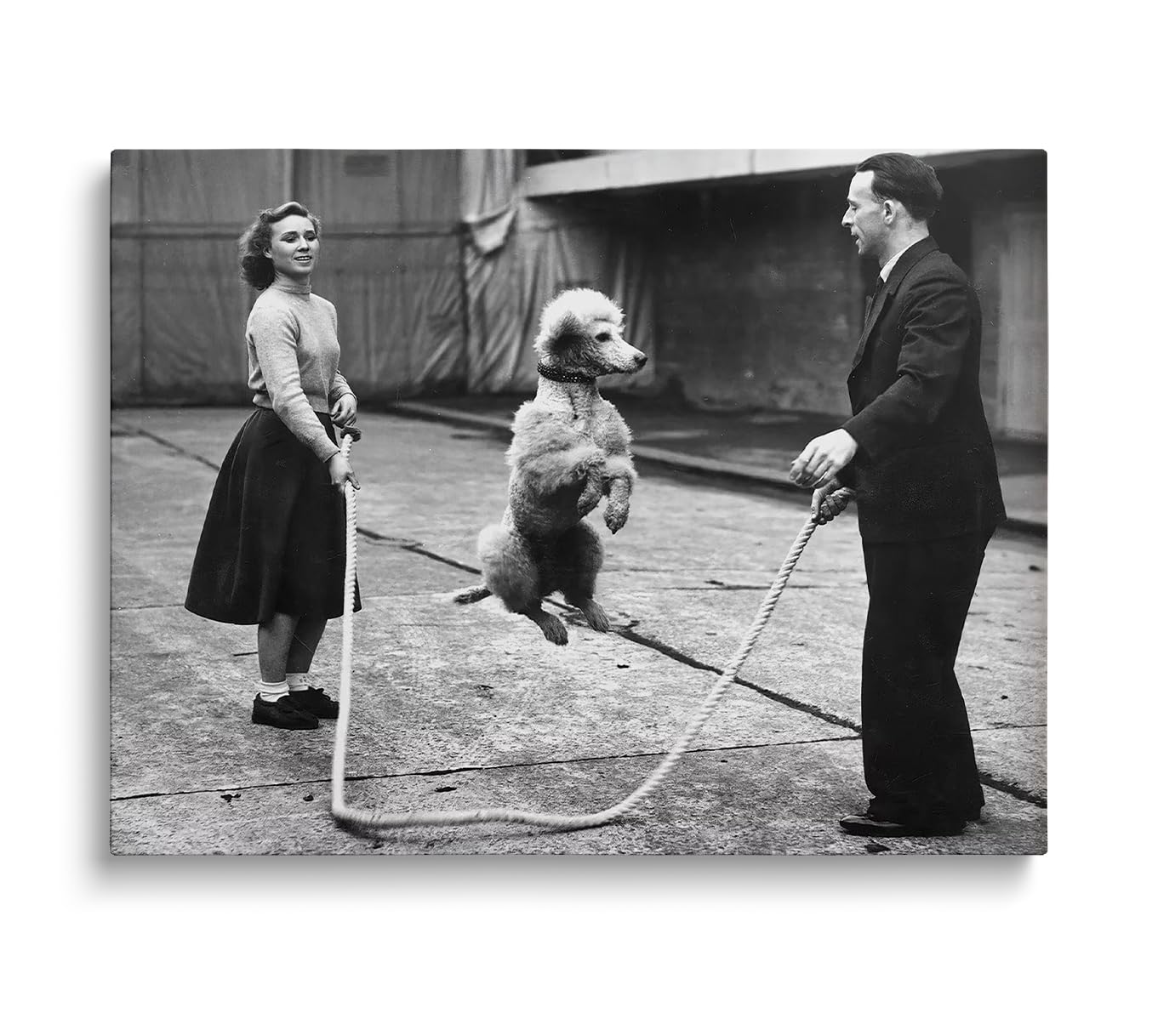 Amazon.com: Vintage Poodle Jumping Rope Wall Art - Funny Black and