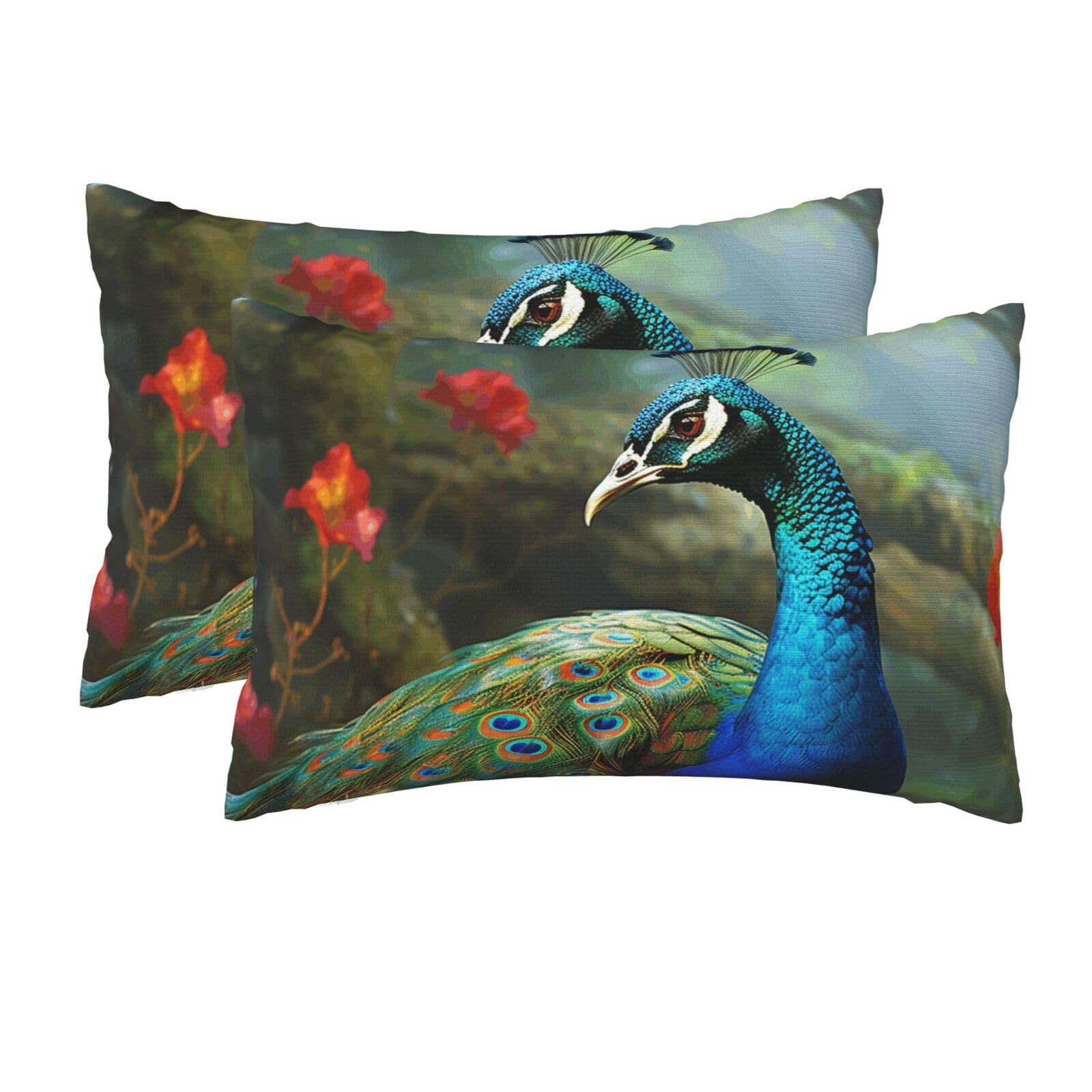 2 Pack Queen Size Pillow Cases for Hair and Skin Soft Breathable Pillow Case Covers with Hidden Zipper Colorful Peacock Pillowcase 20x30 Inches Pillow Cover for Sleeping Gift