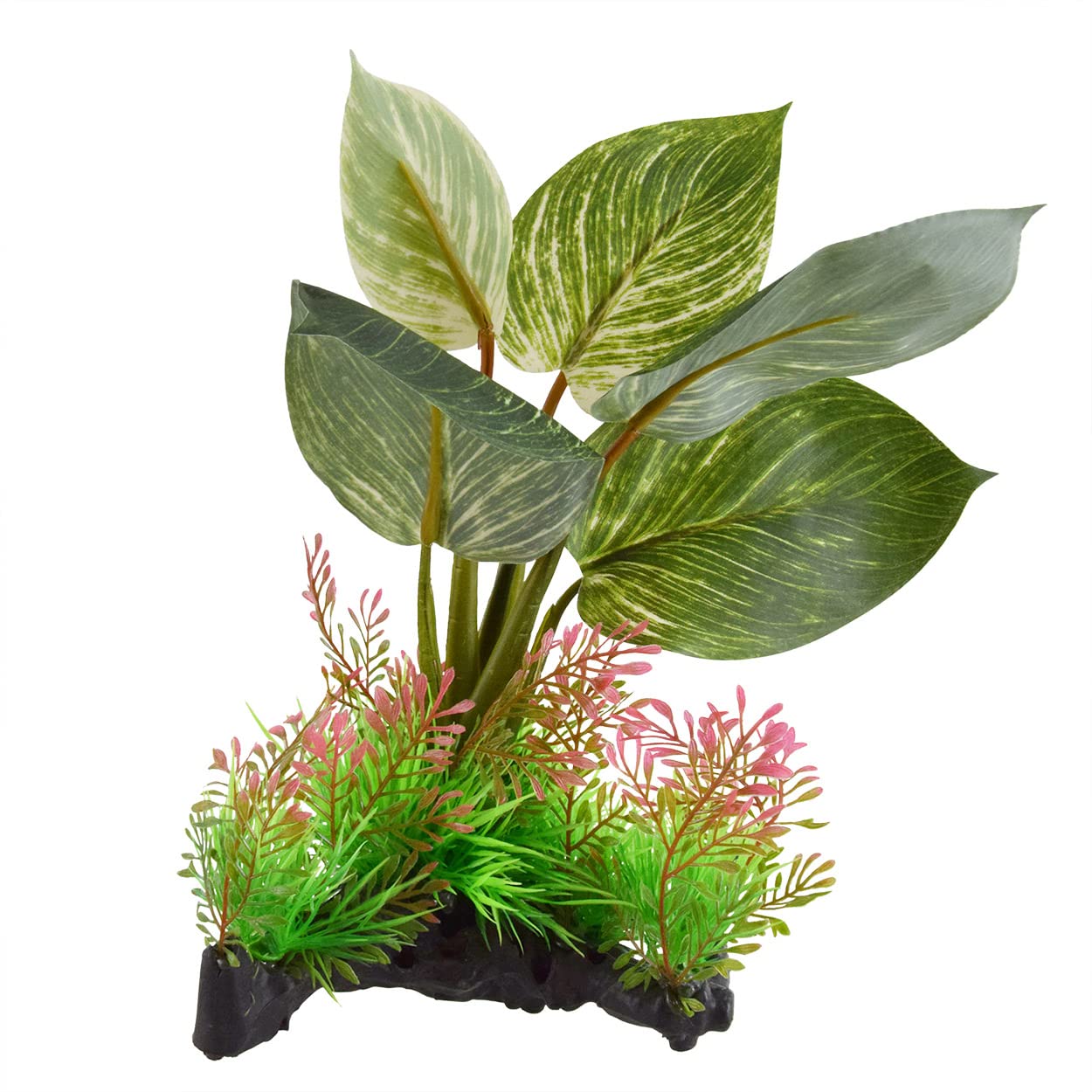 Underwater Treasures Broadleaf Cluster