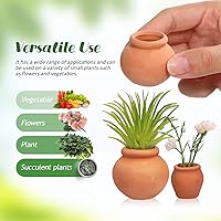Vista 4 de Juego de 6 mini macetas de terracota para suculentas: macetas pequeñas de arcilla para plantas, macetas duraderas