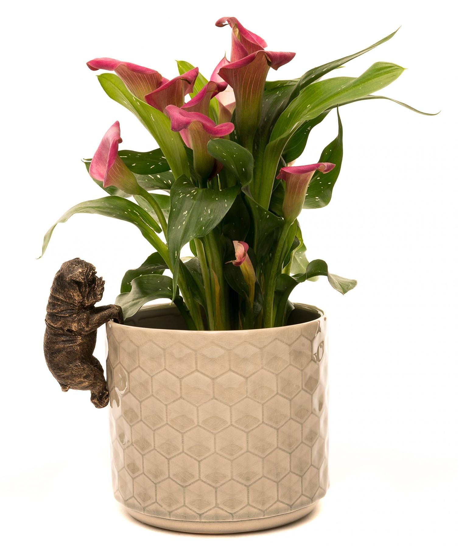 Potty Feet Bronze Pot Buddies Decorative British Bulldog Pot Hanger Ornament - Color