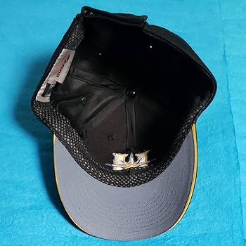 北海道日本ハムファイターズ　プロコレ　キャップ　58cm 未使用 北海道日本ハムファイターズ プロコレ キャップ 58cm 未使用