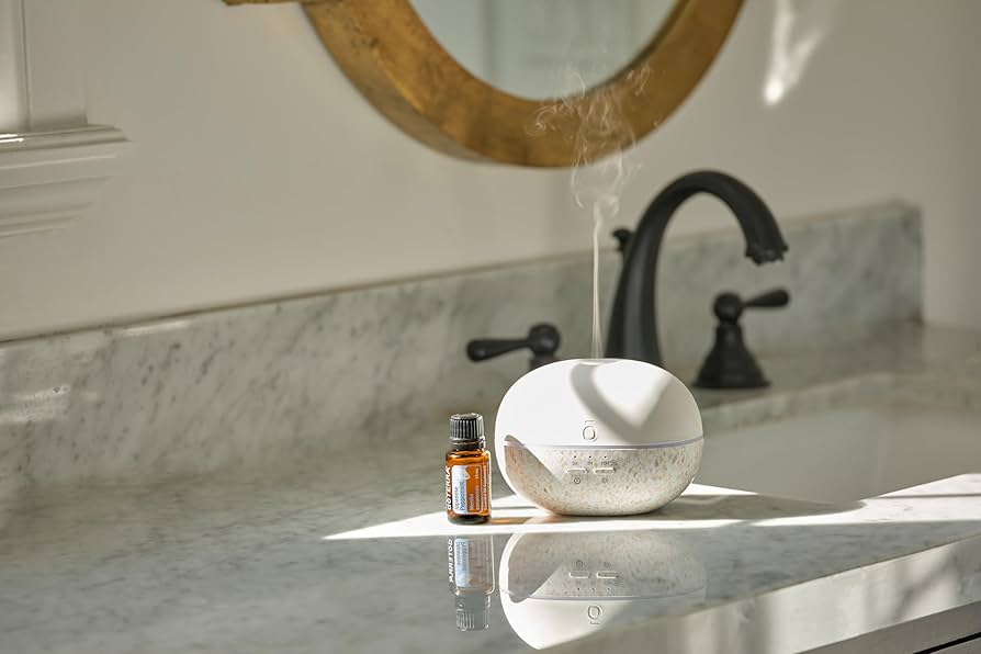 Amazon.com: Pebble Diffuser : Health & Household