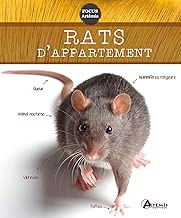 Download Rats d Appartement PDF