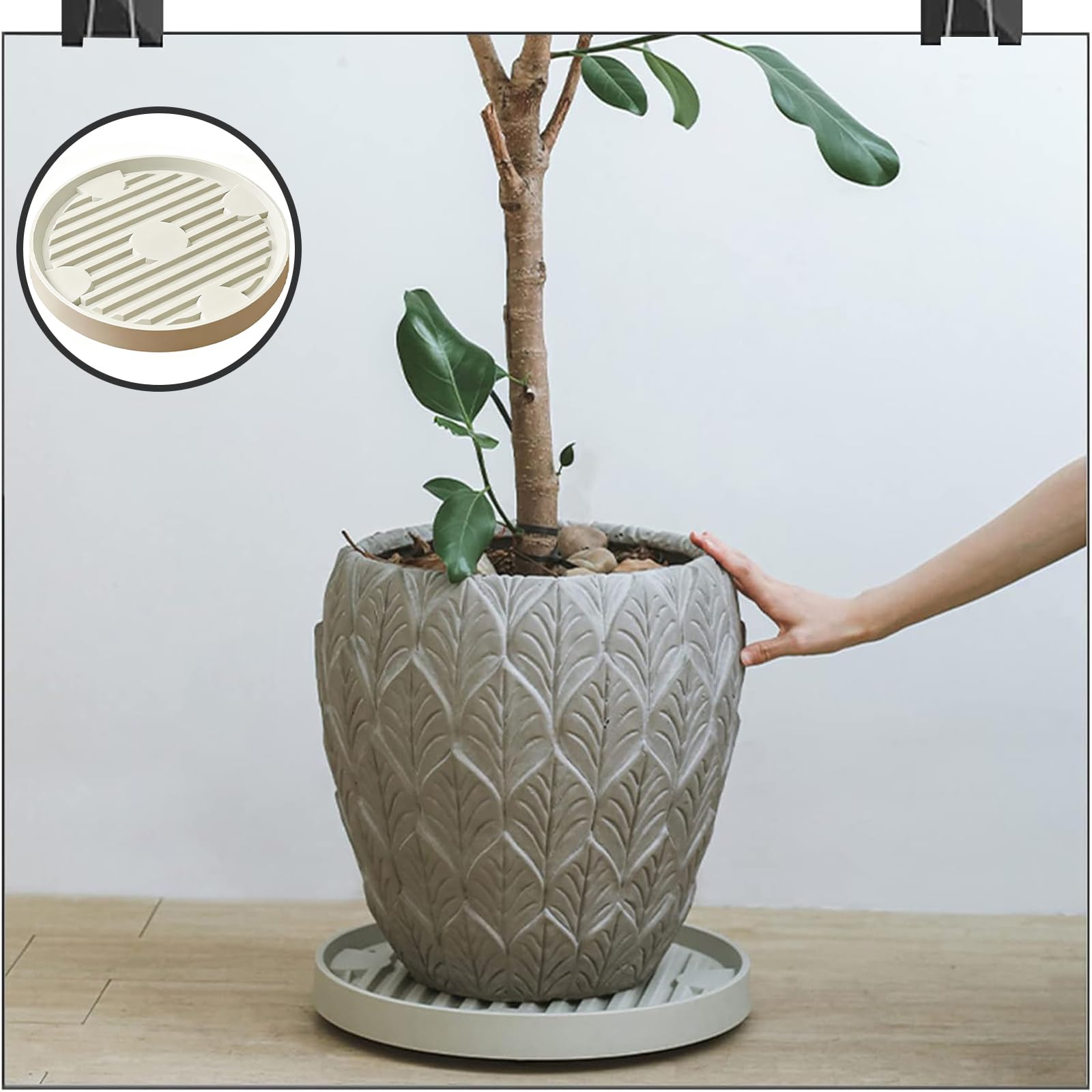 Rundrollbrett Pflanzen, Carrito de Maceta Móvil para Interiores y, Rodillo Redondo para Macetas, Plataforma Resistente para Plantas Apto para Diversos Entornos Interiores y Exteriores (Beige)