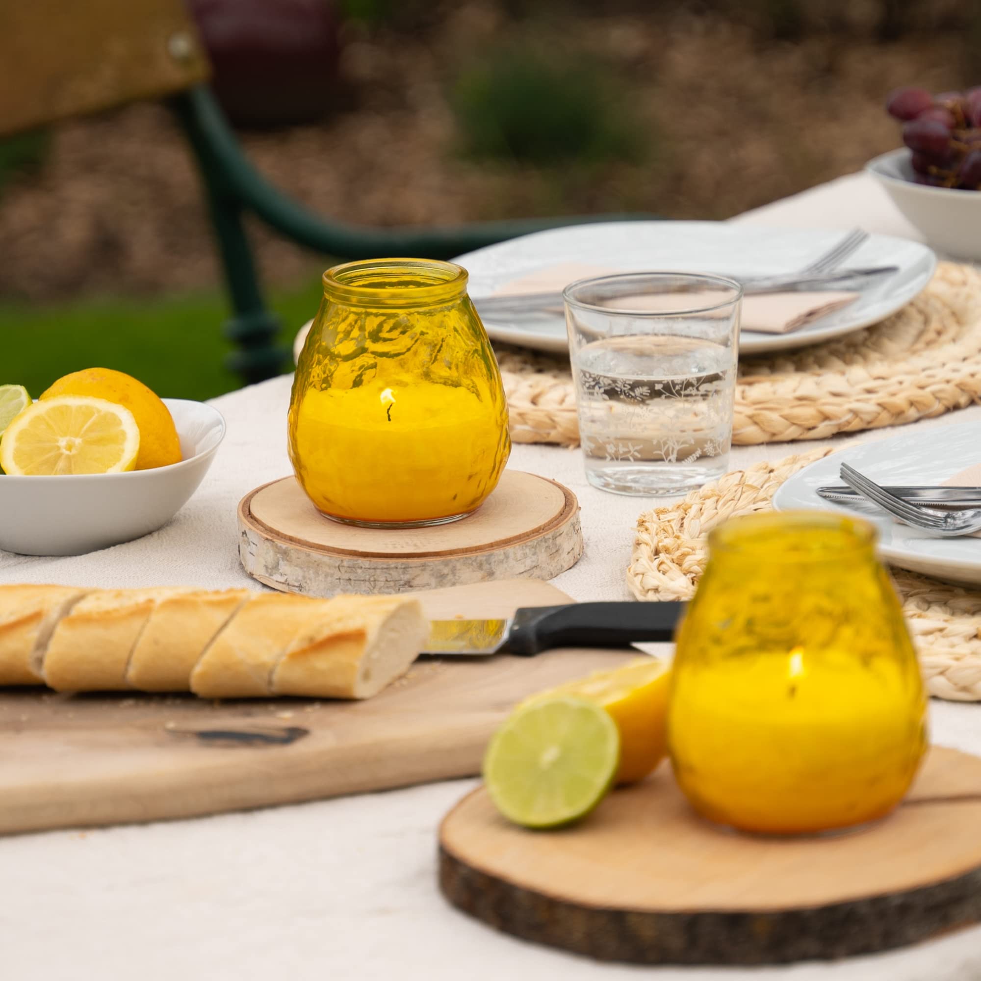 HOFER 6 luci da bistrò, citronella, portacandele per esterni, di alta qualità, in vetro con profumo di citronella, per feste in giardino, decorazione per esterni