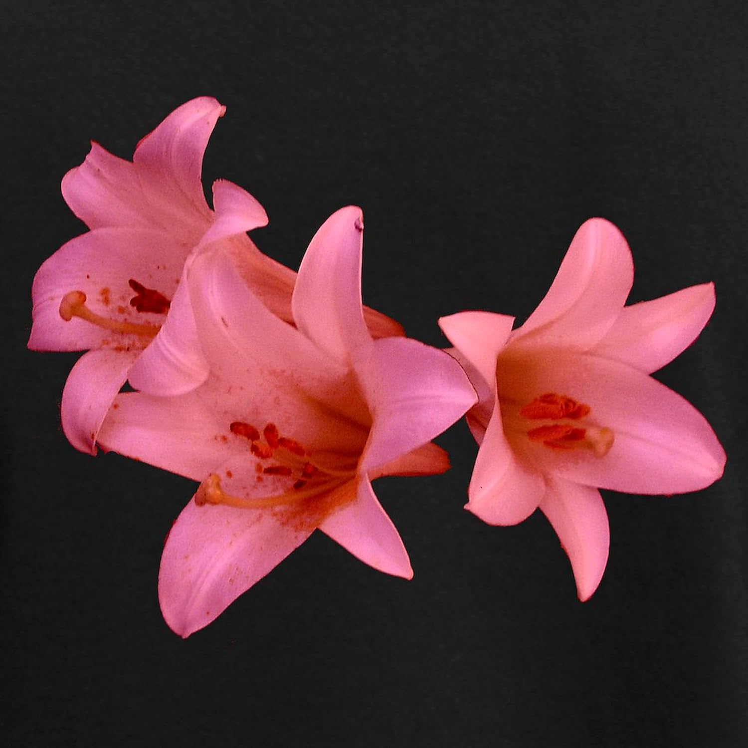 CafePress Pink Lilies Women's Dark Pajamas Womens Novelty PJ Sleepwear