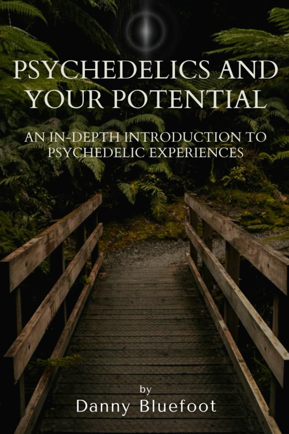 Psychedelics and Your Potential: An In-Depth Introduction to Psychedelic Experiences