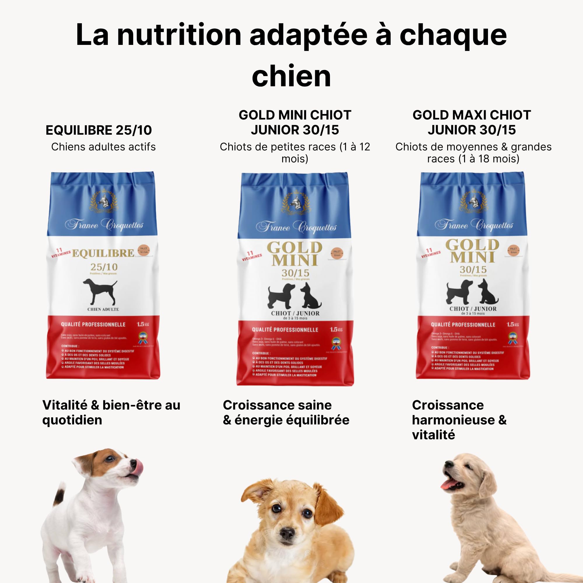 Croquettes Chiens Premium – Gold Starter Mère & Chiots 1 à 3 Mois & Chiennes Gestantes | Croissance, Sevrage Facile, Immunité, Digestion & Vitalité | Fabrication Française – Sac 10 kg