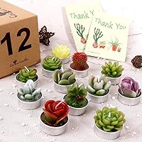 Vista 5 de AIXIANG 12 velas de cactus para suculentas, recuerdos de fiesta de boda para invitados, velas de despedida de soltera