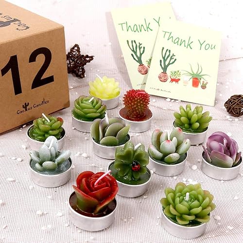Miniatura 5 de AIXIANG 12 velas de cactus para suculentas recuerdos de fiesta de boda para invitados velas de despedida de soltera