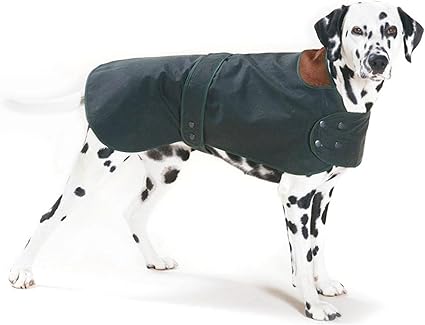 hunter dog jumper