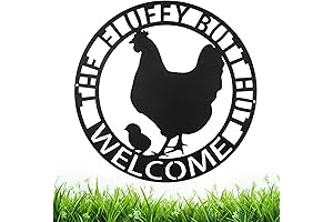 Unique Chicken Coop Metal Wall Sign for Homestead