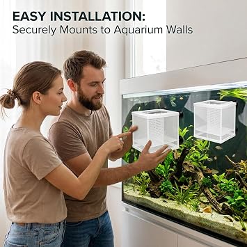 2Pcs Fish Breeding Box, Breeding Box for Fish Tank, Fish Tank with Removable Dividers, Fish Separator for Tank Isolation, Aquarium Breeding Box for Guppy and Shrimp