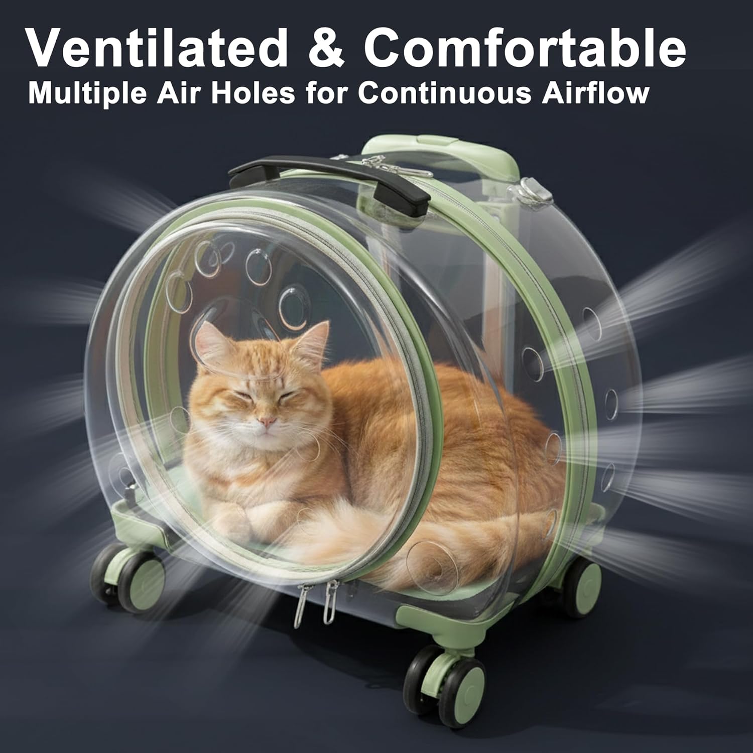 Hard Shell Cat Carrier with Wheels, Rolling Cat Travel Carrier with Telescoping Handle, Transparent Pet Carrier for Cats (Green)