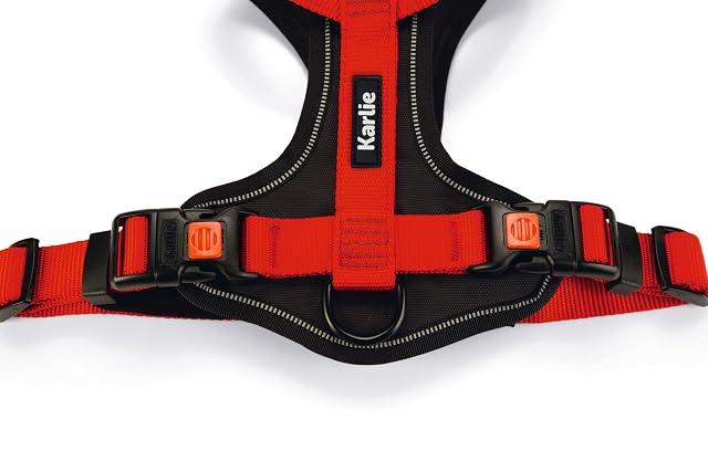 Foto 3 de 5 de KARLIE K Art SPORTIV Premium ARNÉS, 47-65CM X 25MM Rojo