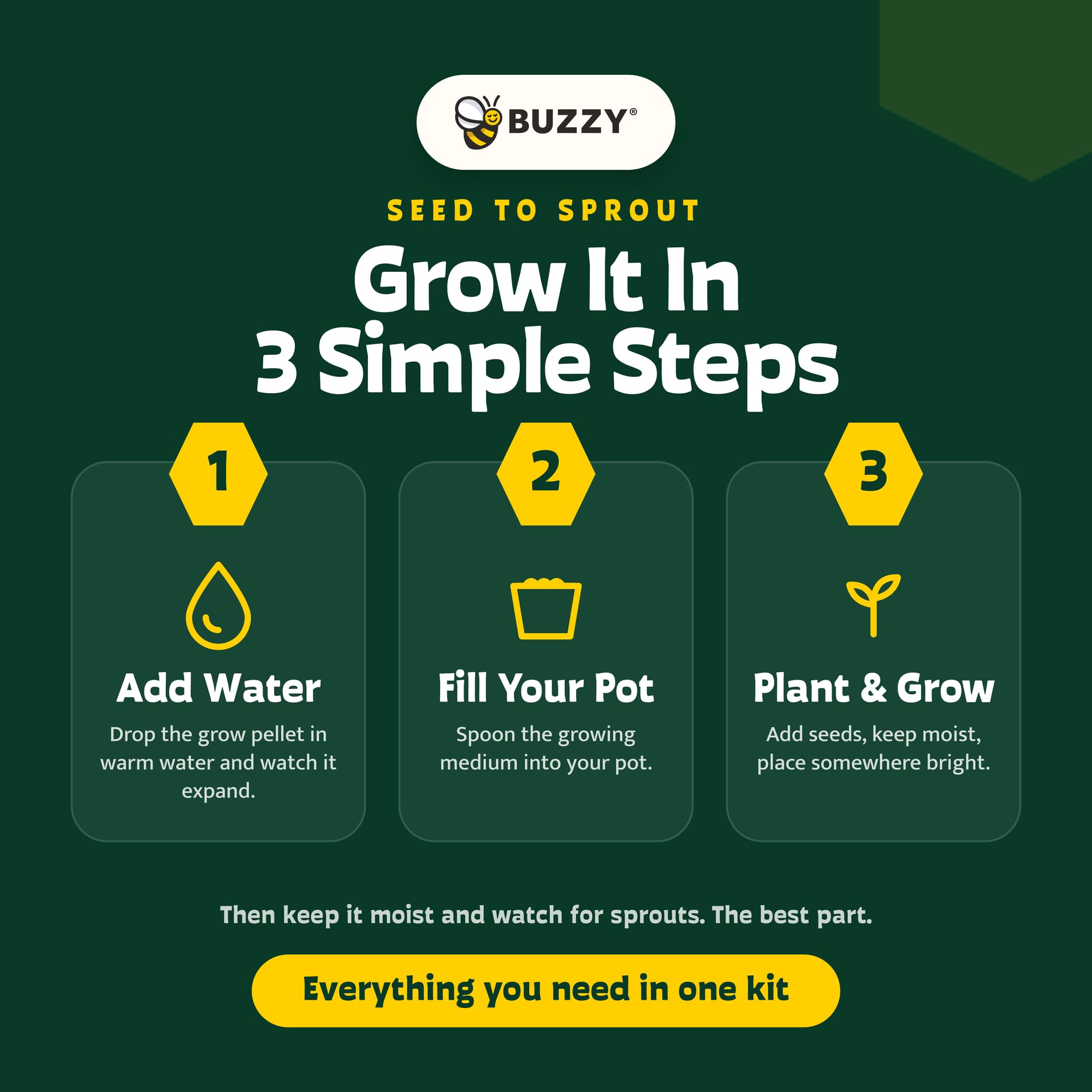 Amazon｜Buzzy Seeds テラコッタ ミニグロウポット | ハーブ、植物