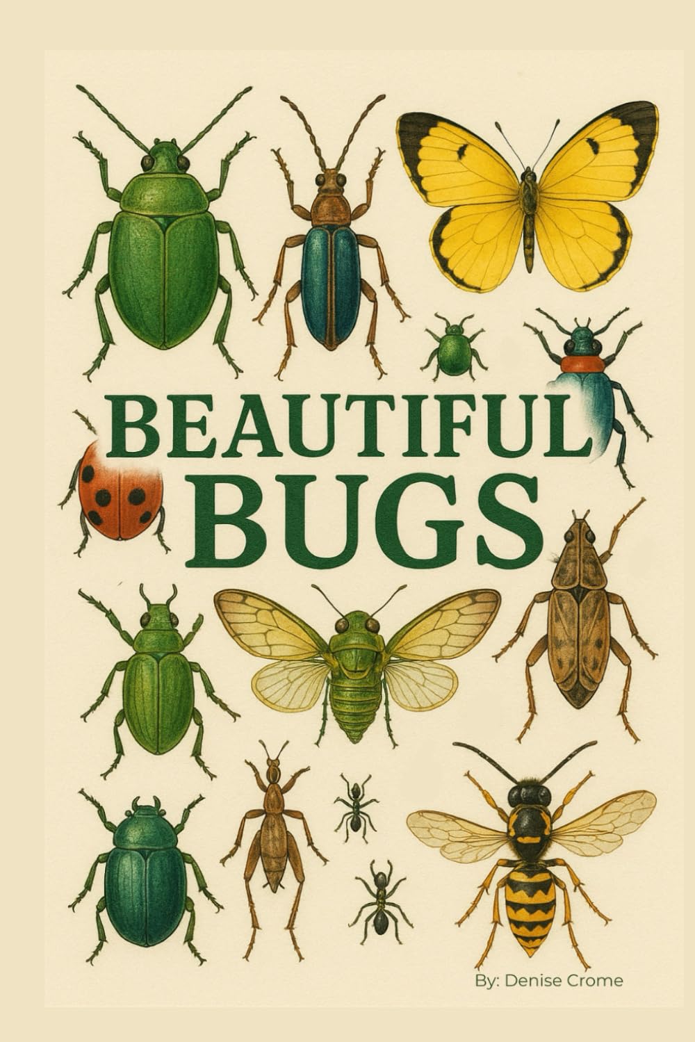 BEAUTIFUL BUGS: A Tiny World of Wings, Whimsy, and Wonder