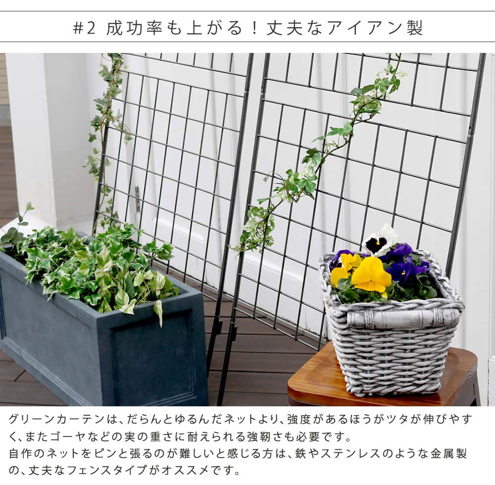 Amazon | 住まいスタイル アイアン製グリーンカーテン Graph(グラフ) 2