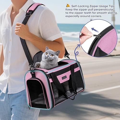 Miniatura 3 de BALEINE Transportador para gatos, cachorros y cachorros para mascotas pequeñas y medianas de hasta 15 libras, bolsa de viaje para perros de lados