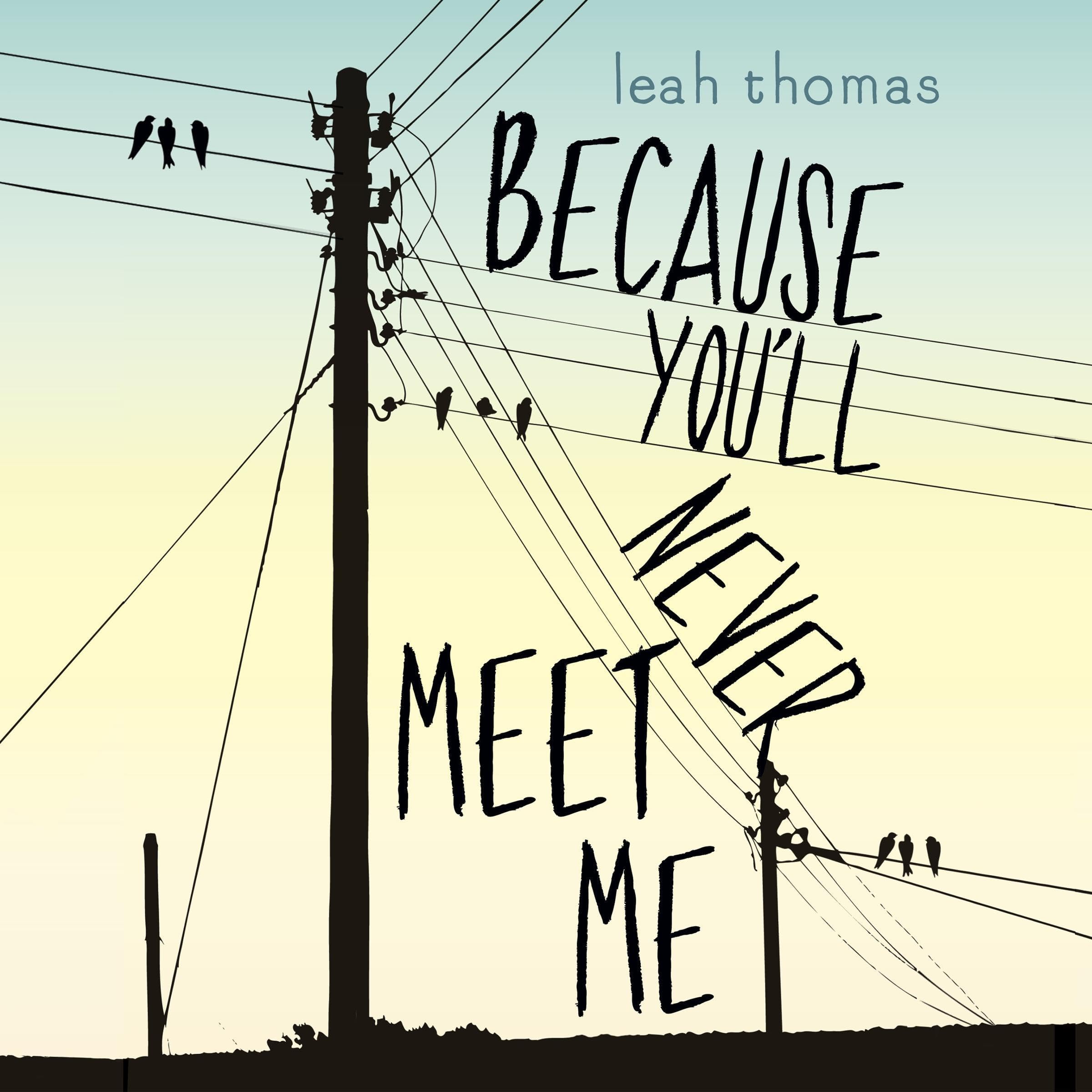 Cover art for Because You'll Never Meet Me