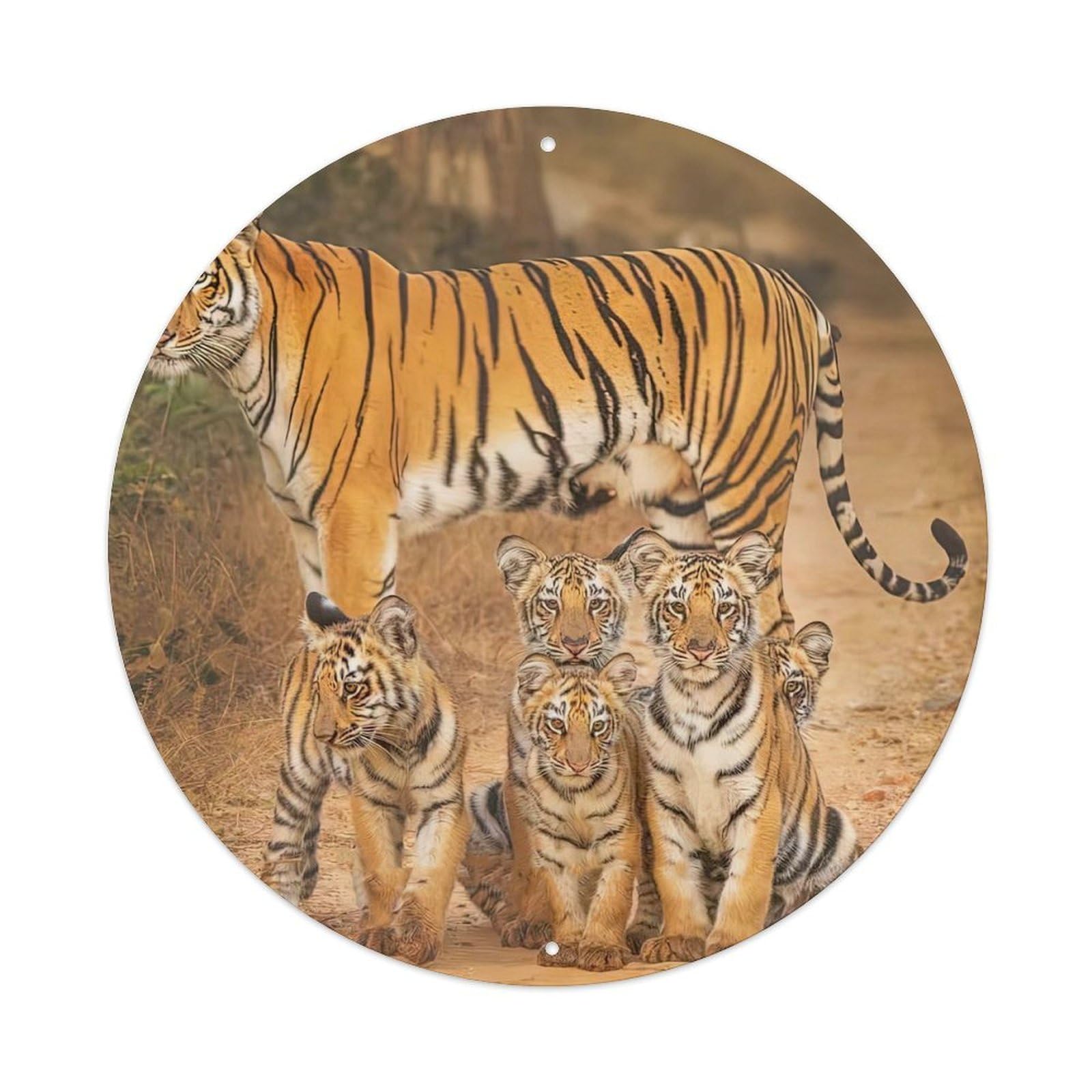 Jungle Tiger Family Cubs Habitat Poster Metal Tin Sign