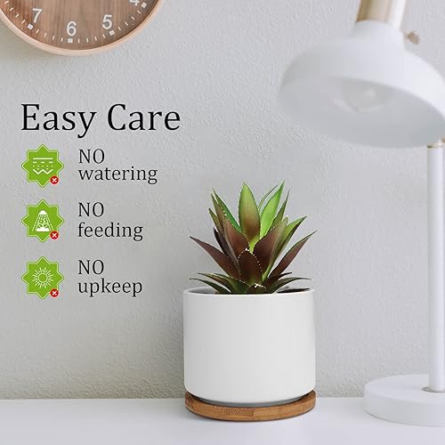 Miniatura 7 de Hopewood Lindas plantas de decoración de interiores, plantas suculentas artificiales en macetas de cerámica con bandeja de bambú, plantas en maceta