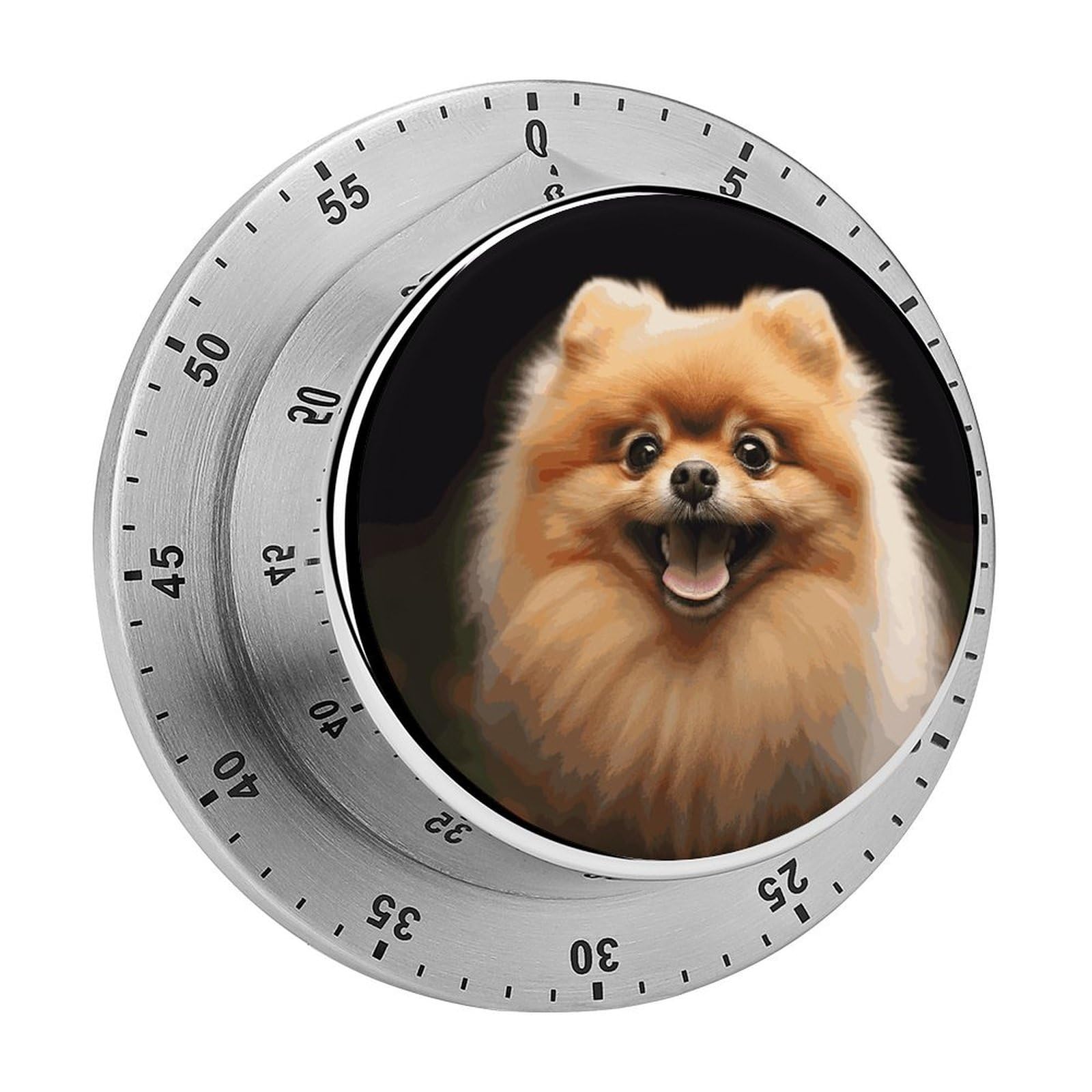 Pomeranian Timer Loud Mechanical Timer Stainless Steel 60-Minute Kitchen Timers Waterproof Chef Cooking Timers Sport Countdown Clock Portable Countdown Alarm Adult