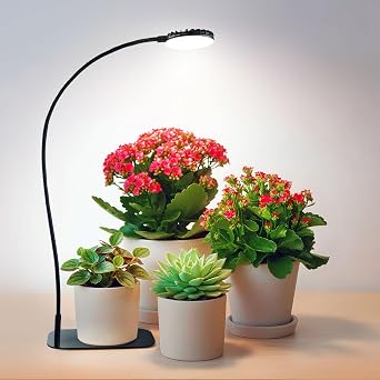 Desktop Plant Grow Light,12w Growing Lamps High Ppfd,Full Spectrum Desk Growth Light with Automatic Timer,4 Dimmable LevelsBlack