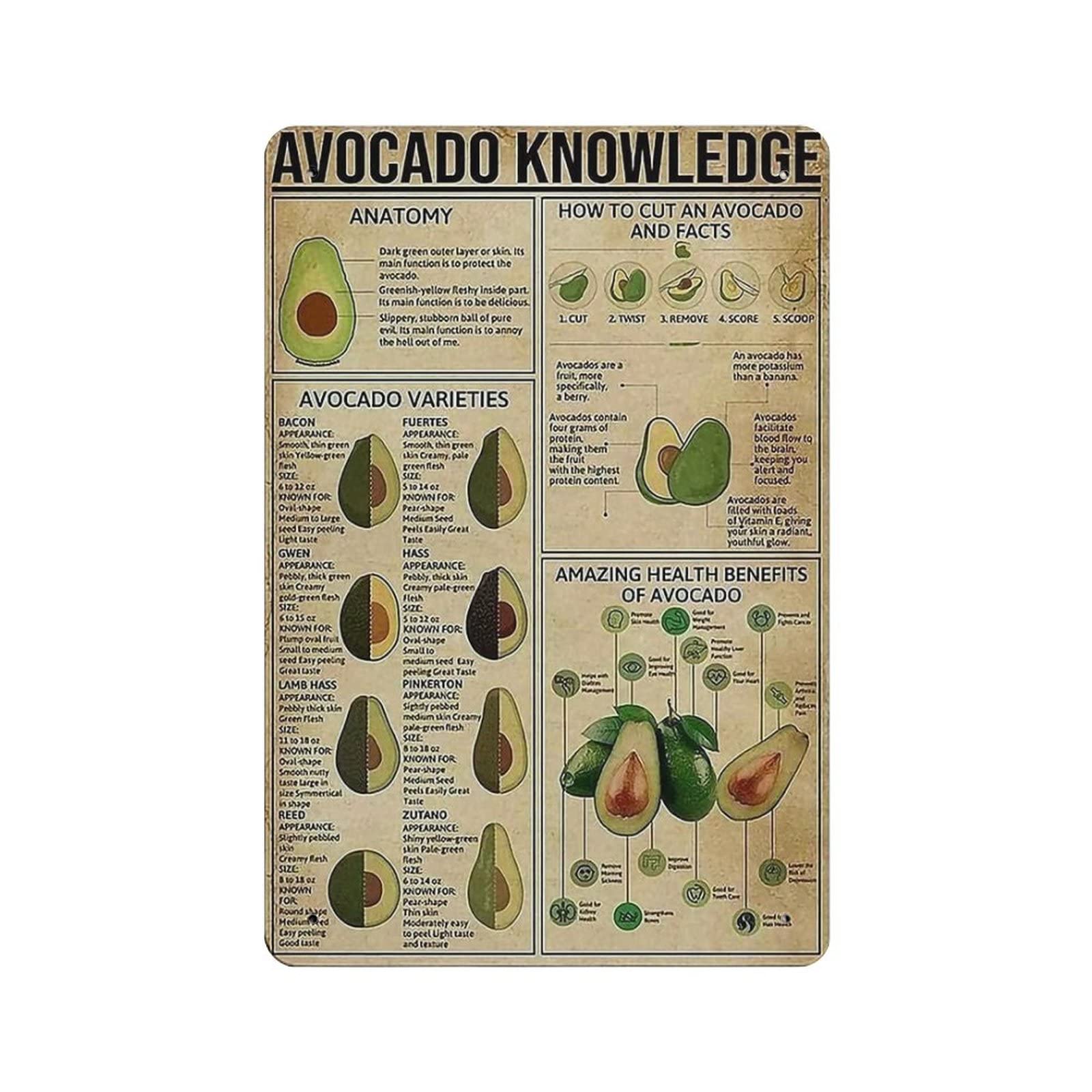 rayprint Avocdo Knowledge Poster Metal Tin Sign Art Wall Plaque Decor Vintage Retro Sign Iron Painting Aluminum Sign for Home Decor Bar Shop Men Cave Outdoor Garage Indoor 12"x8"