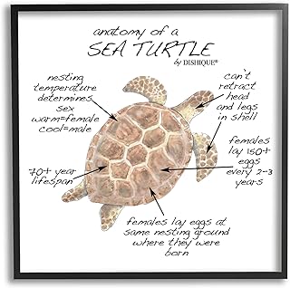 Stupell Industries Sea Turtle Anatomy Marine Life Animal Chart, Design by Dishique