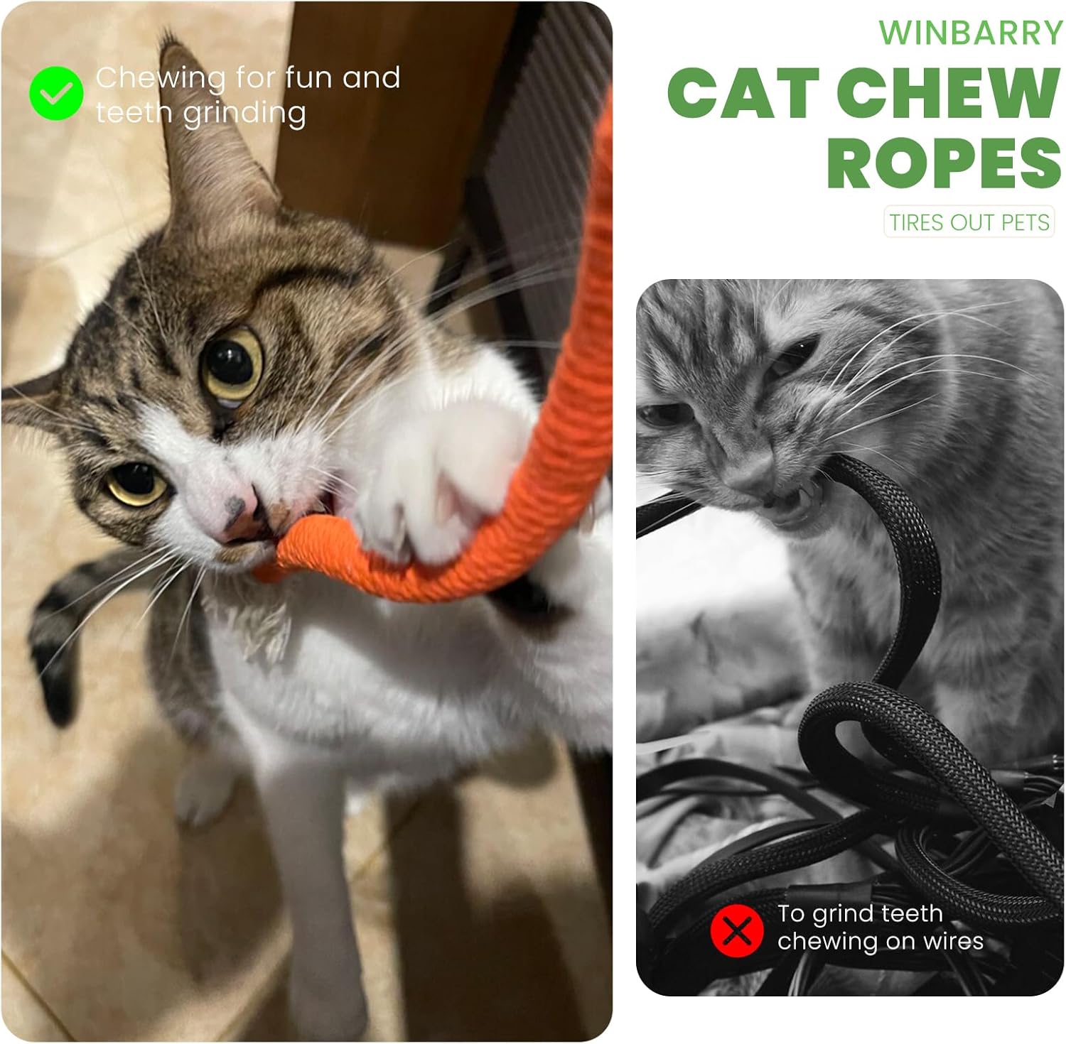 winbarry Cat Toys, Interactive Cat Toy for Indoor Cats, Kitten Teething Cats Chew Nip Toy Rope, Safe Teeth Cleaning Chew 6 71GVpHmNUiL. AC SL1500