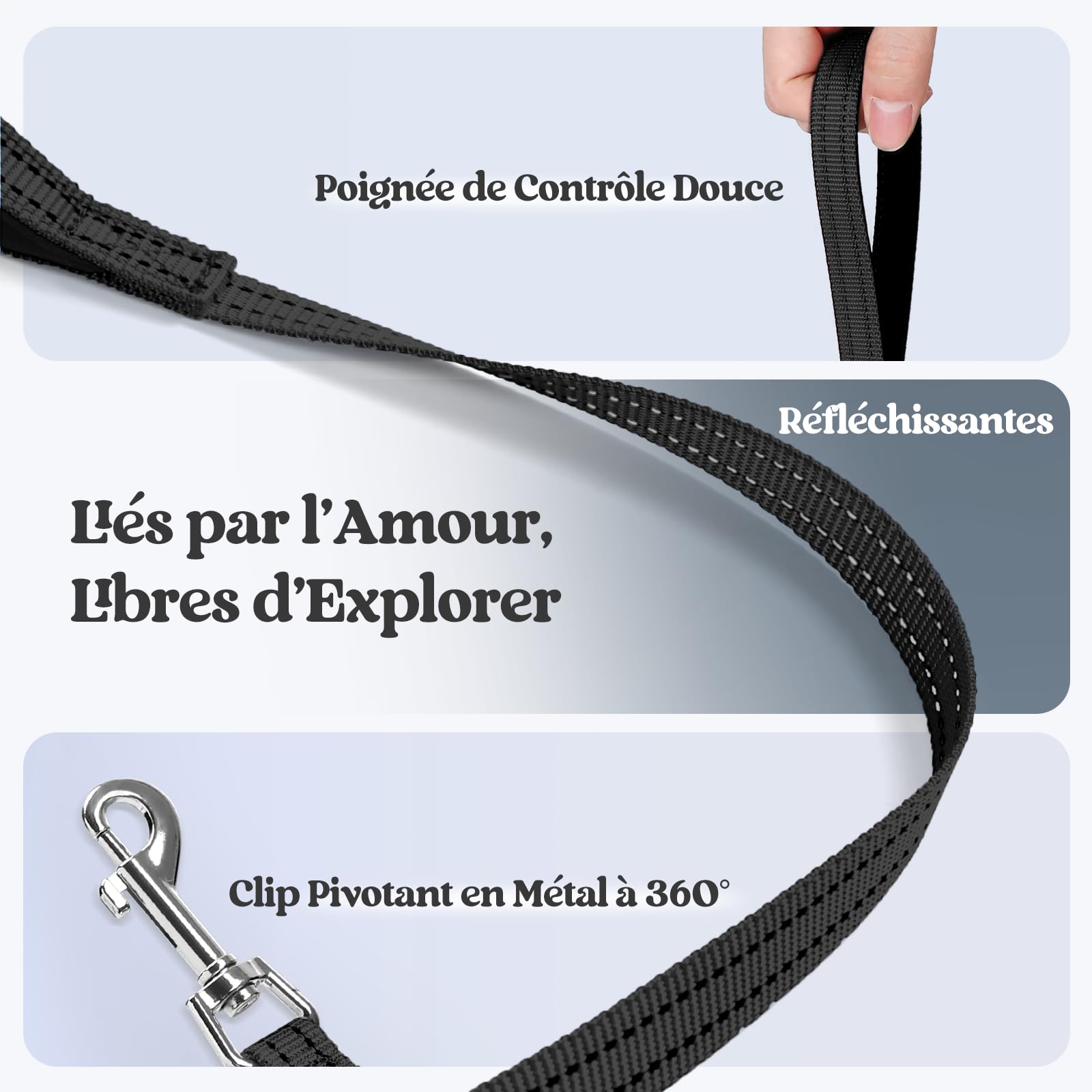 rabbitgoo Harnais Chien Petite Taille avec Laisse Réfléchissant, Harnais Chiot en Maille Souple, Gilet Réglable Facile à Mettre, Arnet pour Chien Petit et Moyen pour Marcher Courir, Noir S