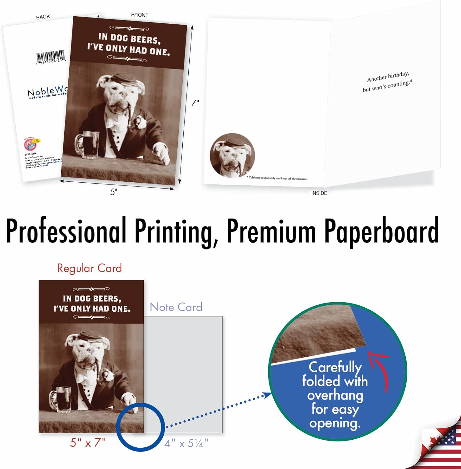 NobleWorks Older Not Wiser - 20 Boxed Birthday Greeting Cards with Envelopes (4.63 x 6.75 Inch) - AC8840BDG-B2x10