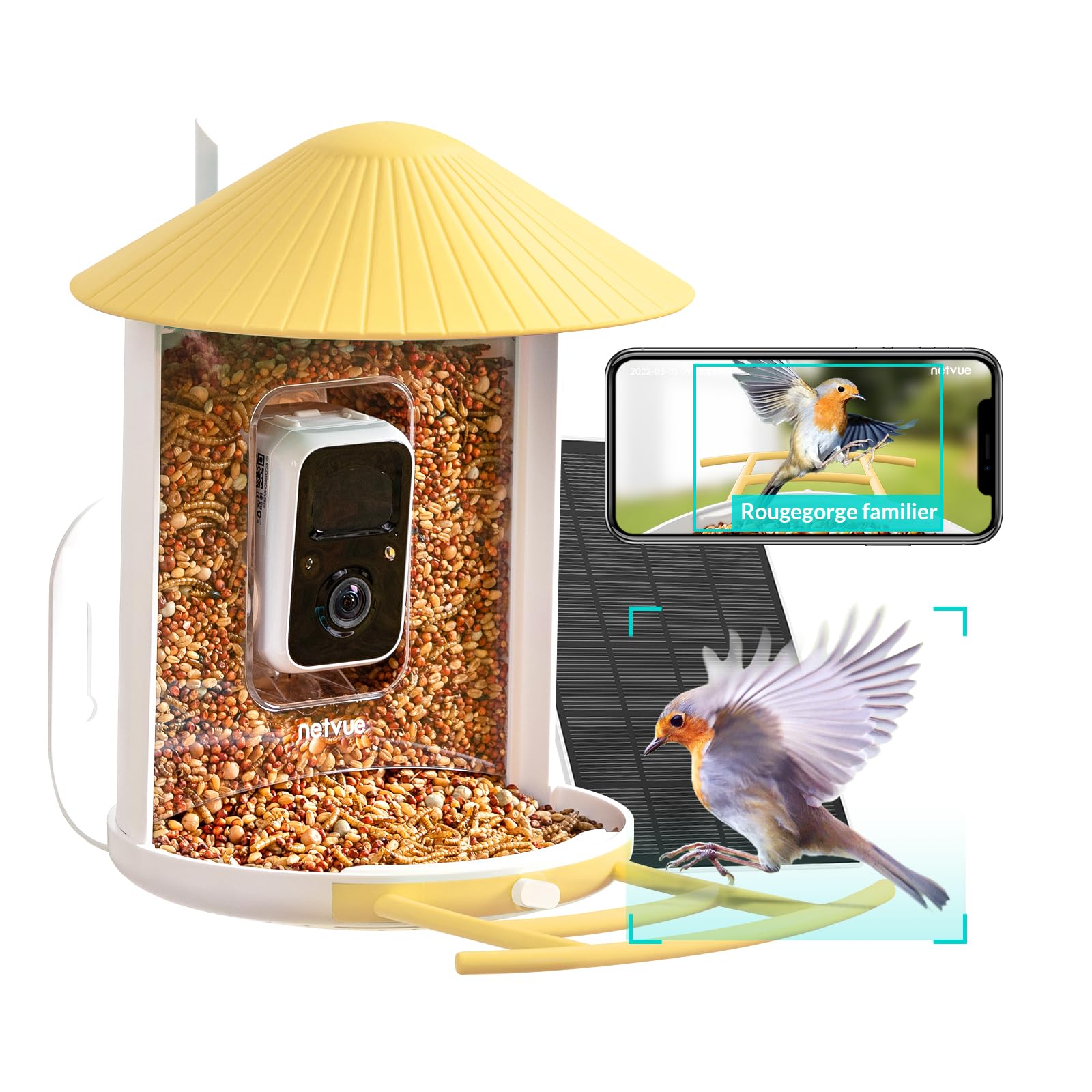 Netvue Comedero Pájaros con Camara, Captura Automática de Imagen/Video, Observación de Aves Cámara con Batería & Panel Solar, Reconocimiento de Especies de Aves AI, Comedero Pajaros Exterior