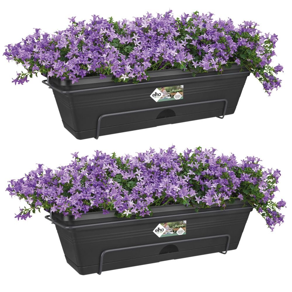 Elho GB Trough Allin 1 50 | Lot de 2 Balconnière - Living Noir | L 26.8 x W 49.5 x H 18.9 cm | 2 Pièces Incluses