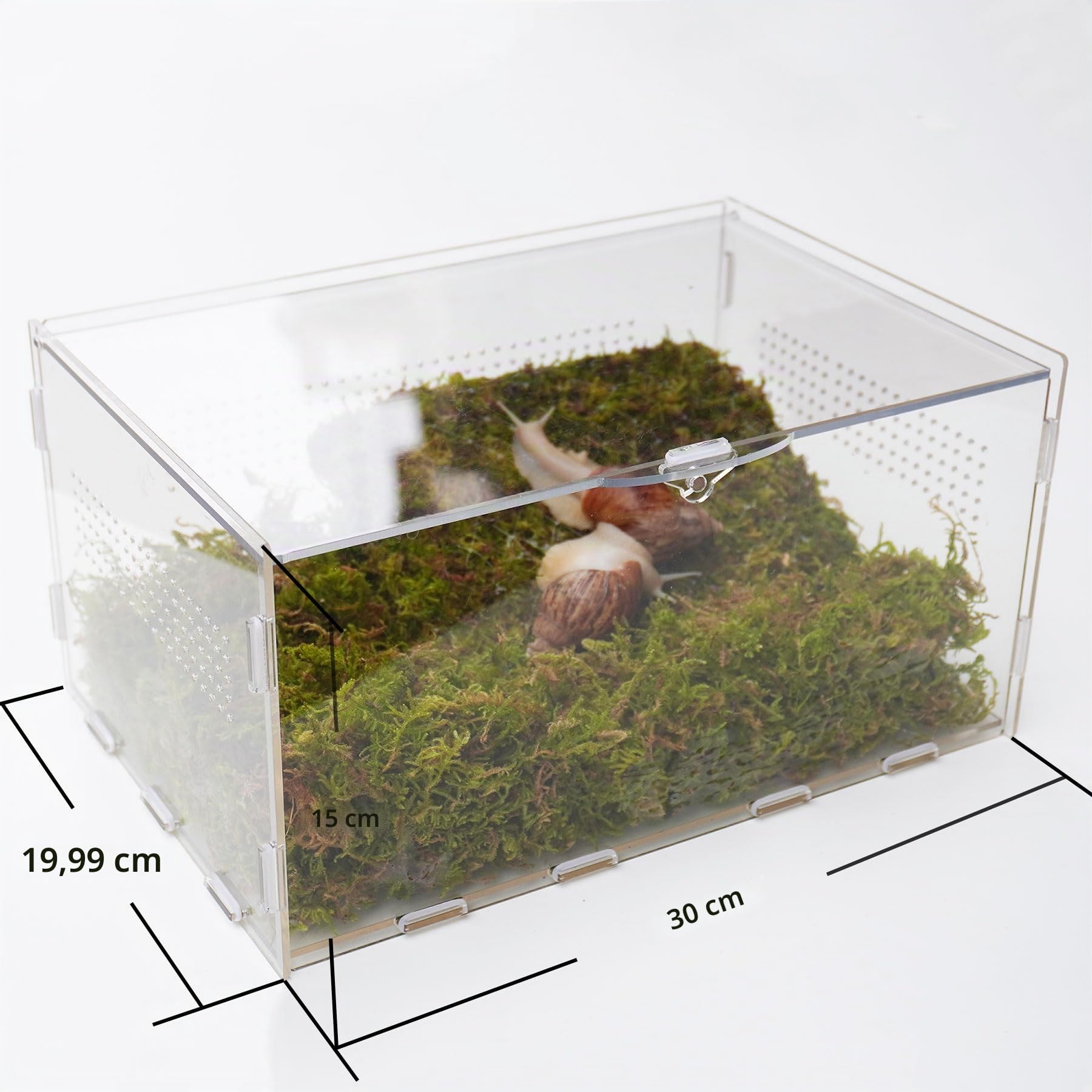 Kit de terrario de caracol con accesorios de escalada de 11.22 pulgadas de largo x 7.87 pulgadas de ancho x 6 pulgadas de alto, casa de animales pequeños transparente para caracoles, orugas y
