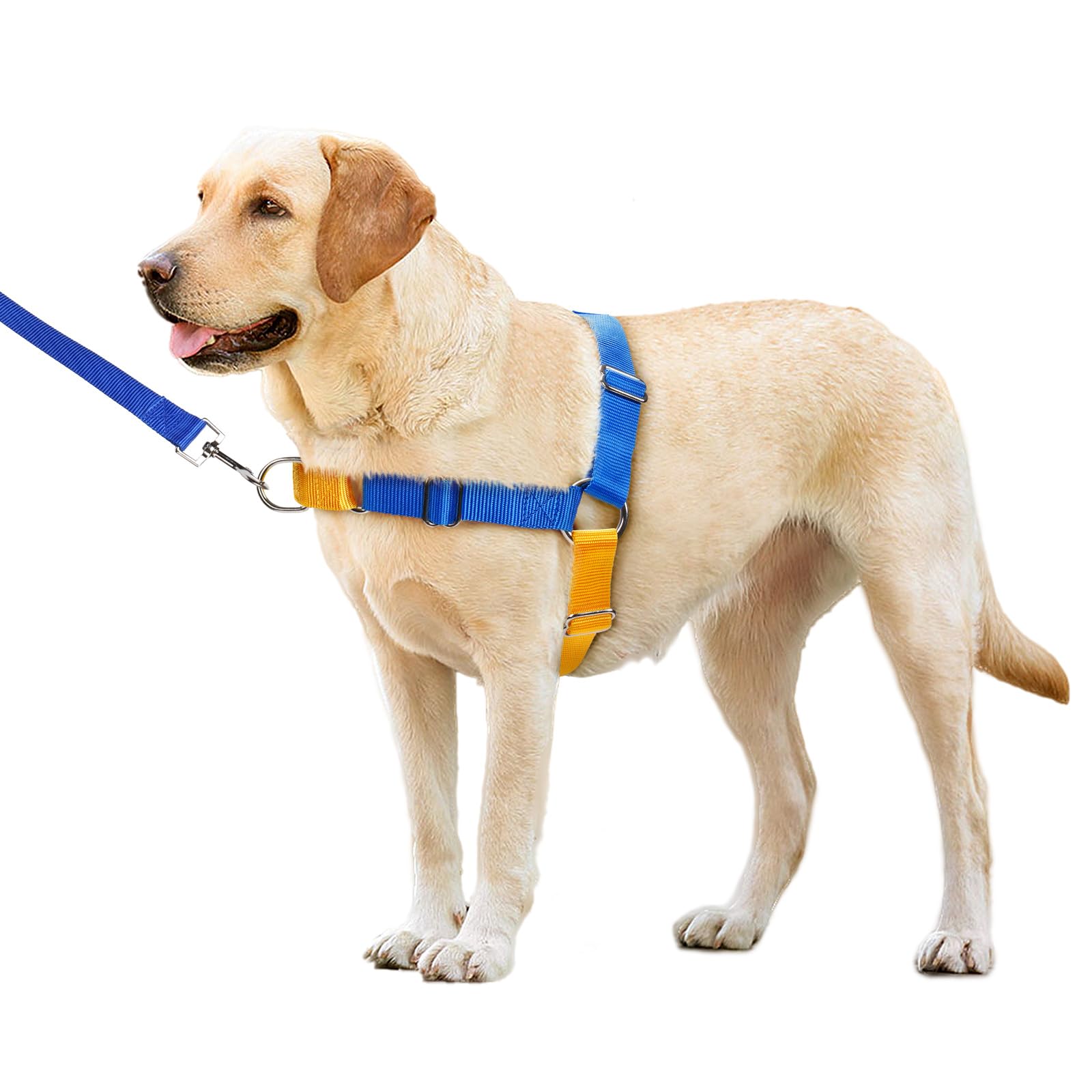 No Pull Dog Harness with Dog Leash, Easy to Control Walking Harness for Small, Medium and Large Dogs (XL, Blue/Yellow)