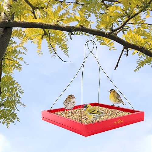 Miniatura 6 de MIXXIDEA Bandeja colgante para pájaros, bandeja de semillas con plataforma de madera, bandeja colgante para colibríes, plataforma de semillas de