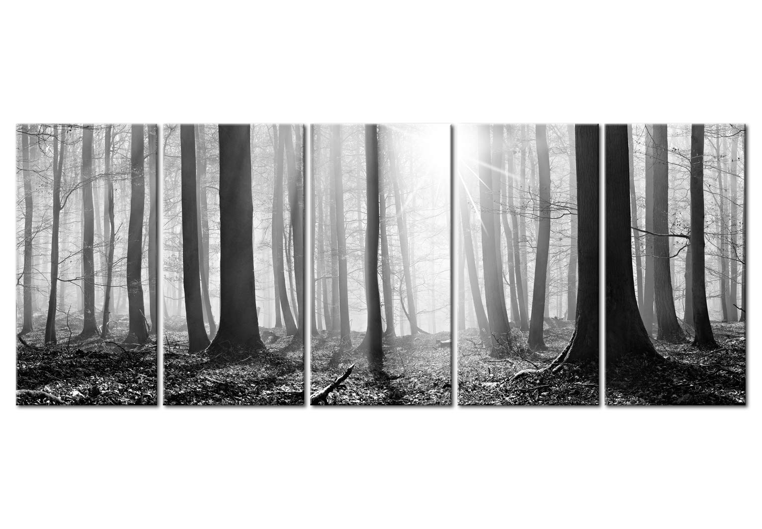 murando Cuadro Acústico Bosque 225x90 cm espuma acústica absorbe el sonido | aislamiento lienzo de 5 piezas Impresión Artística Decoración de Pared Paisaje árbol