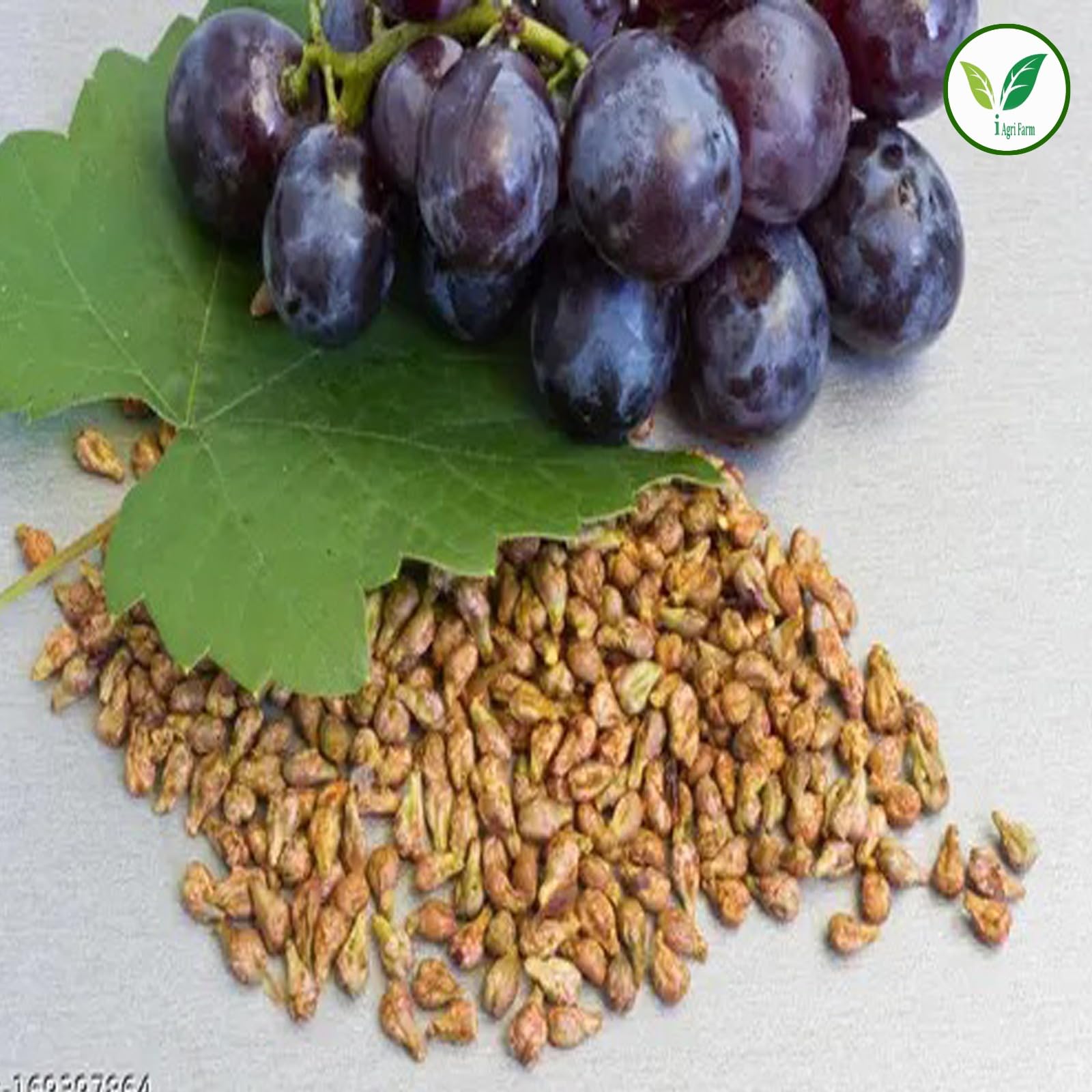Iagrifarm Black Grape Seeds - 250 gram/Angur Beej/Grape Seed - Image 4 thumbnail