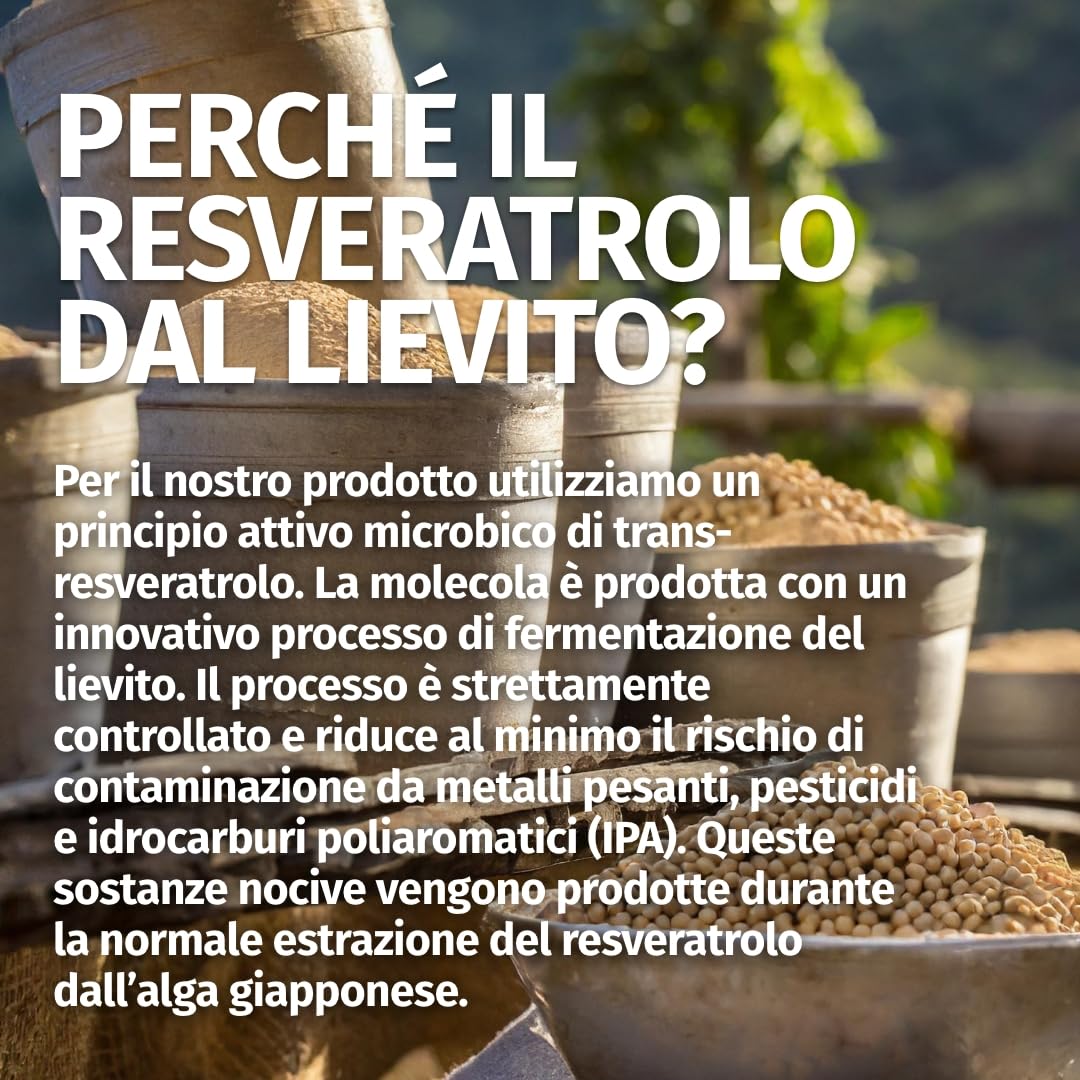 Trans Resveratrolo 500 mg - 120 capsule - Purezza: >98% Trans-Resveratrolo - Prodotto in Germania - 100% vegano e senza additivi - Scorta per 4 mesi - Green Naturals®