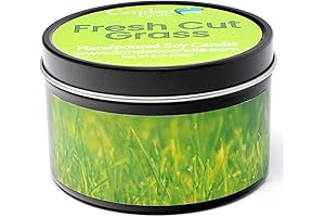 Soy Candle - Large Travel Tins, 6oz - Highly Scented - Made...