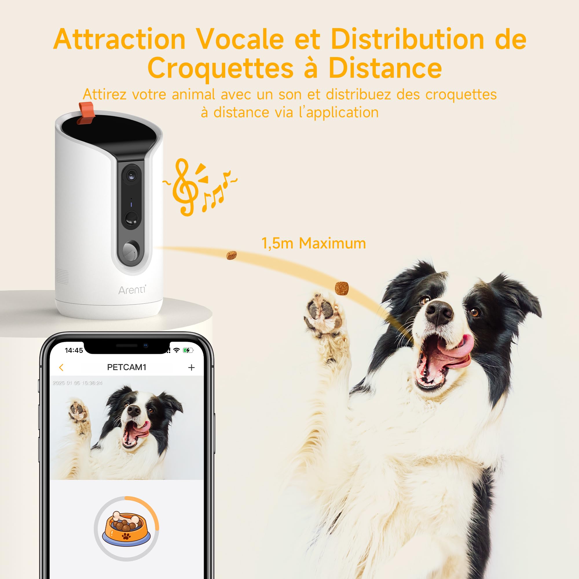 ARENTI Distributeur Automatique de Croquettes pour Chat avec Caméra WiFi, Caméra de Surveillance avec Distributeur, Alertes Intelligentes/Vision Nocturne, Audio Bidirectionnel, Alexa