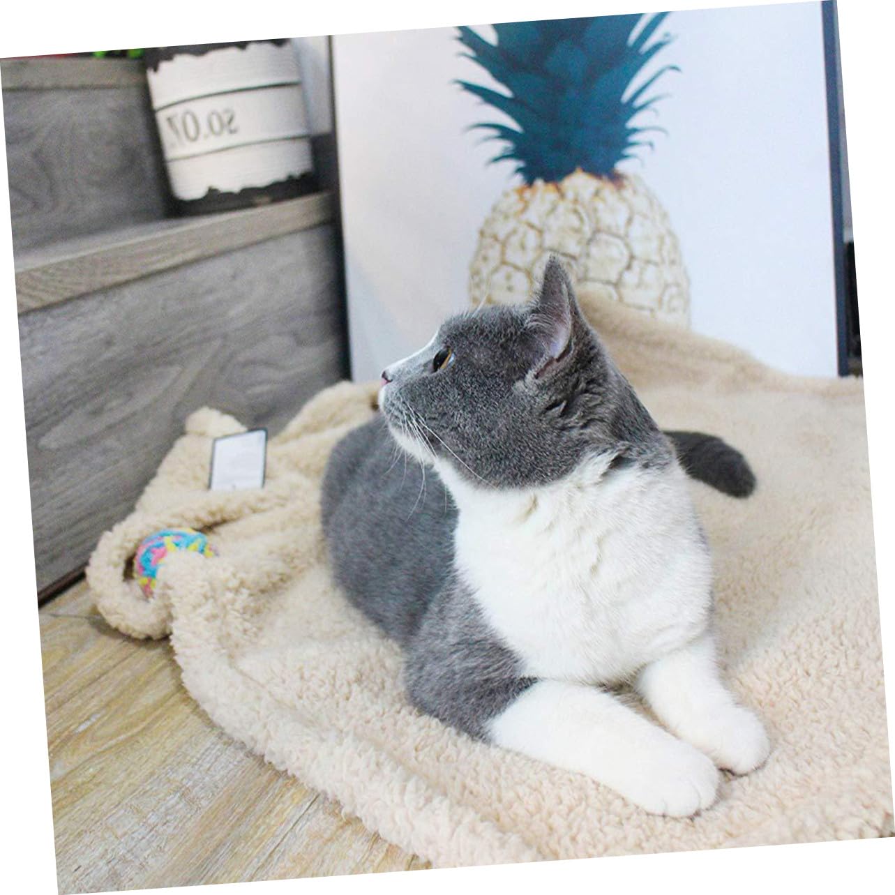 Plüsch Haustierkissen für Katze und Hund, Schlafmatte, Größe L, Beige