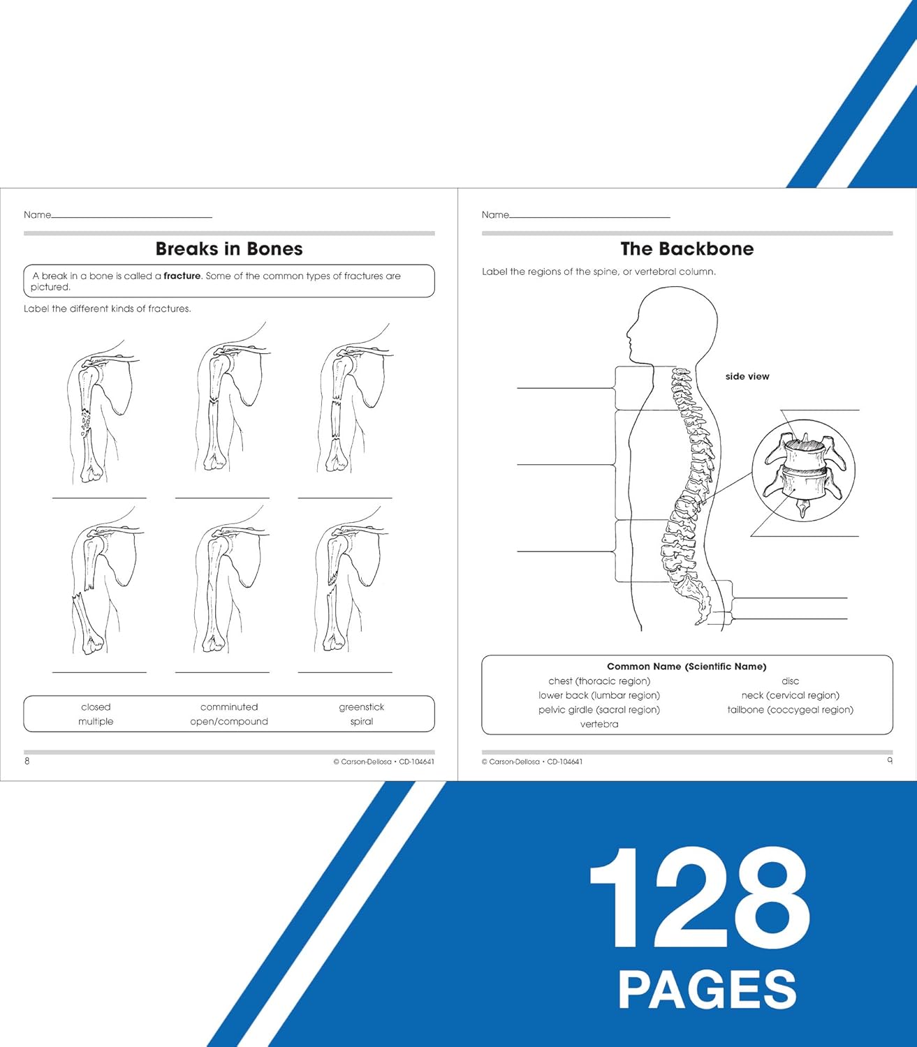 Workbook pages showing diagrams of bone fractures and the human backbone