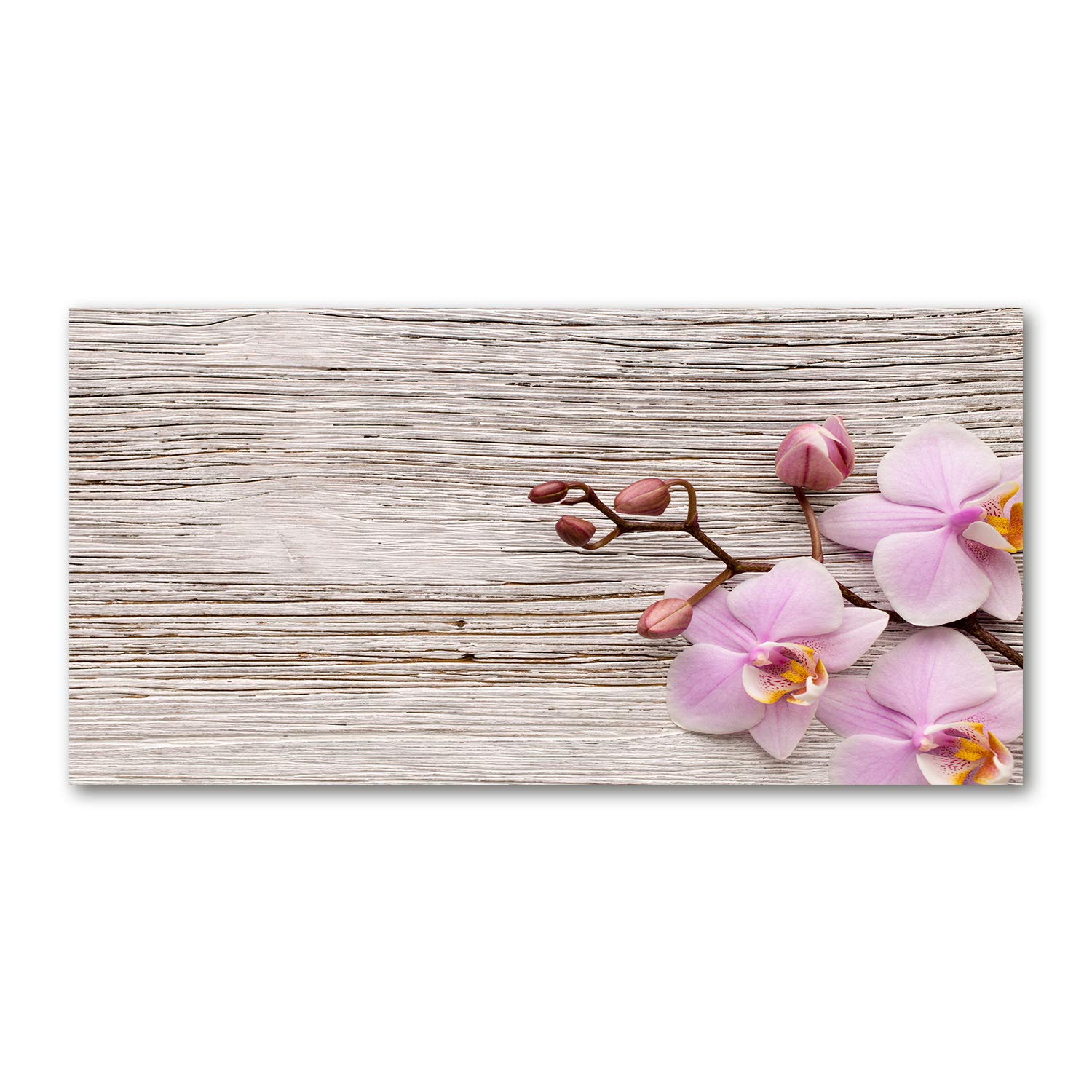 Tableau plexiglas orchidée beige 100x50 cm pour habiller un grand mur vide