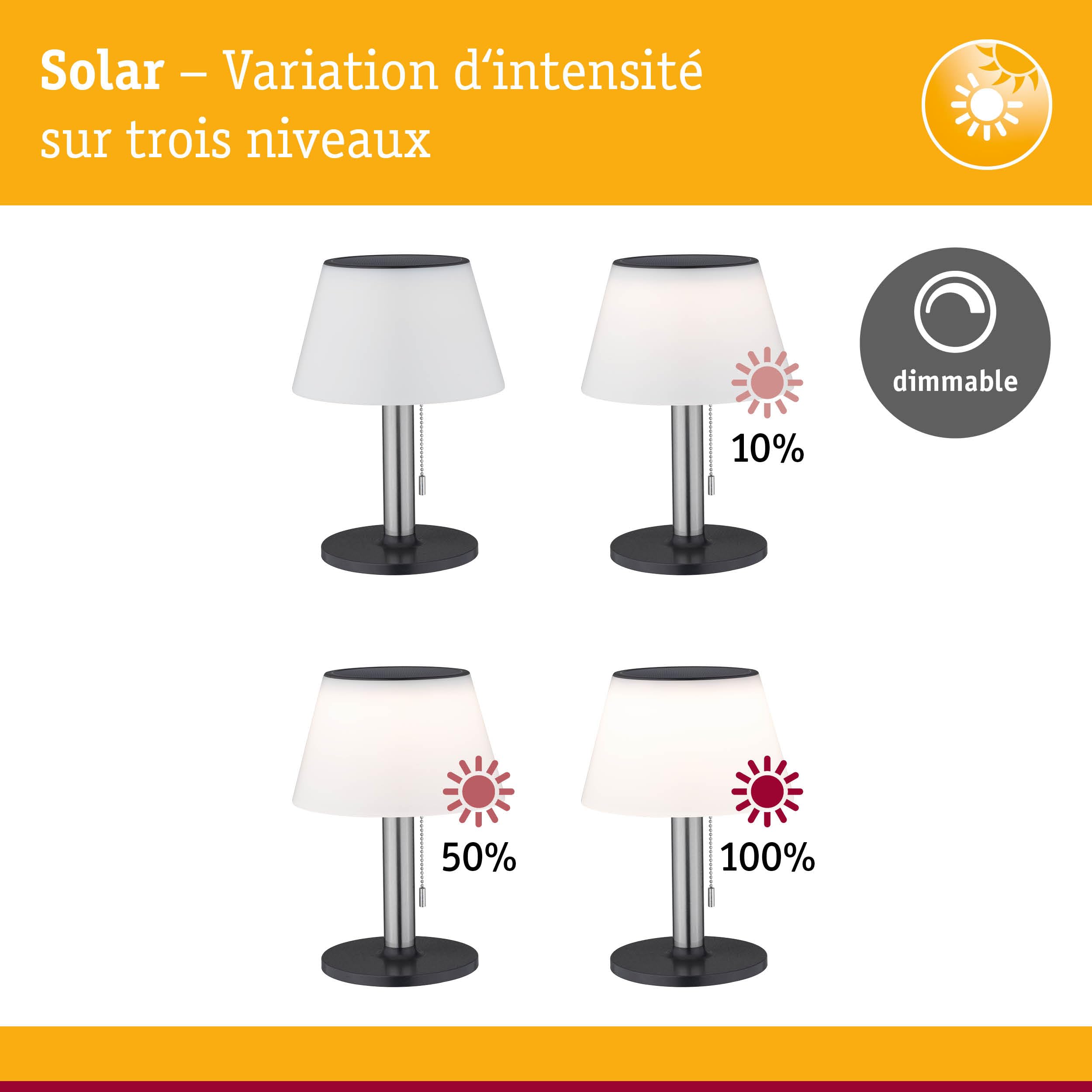 Paulmann 94309 Lampe à poser solaire LED Lillesol Luminaire d'extérieur incl. 1x0,8 watts gradable IP44 Acier inoxydable Éclairage de jardin plastique Métal Blanc chaud 3000 K