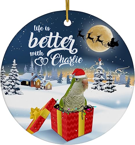 Life is Better with Green Quaker Parrot Adornos de Navidad con nombre personalizado 2024 Círculo Blanco Cerámica para dueños de mascotas Regalos