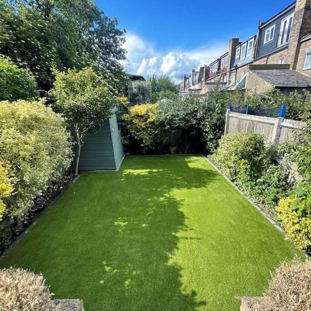 Original St augustine grass seeds/Lawn grass seeds Pack of 10000 (B0CM13ZNXQ) Amazon Price History, Amazon Price Tracker